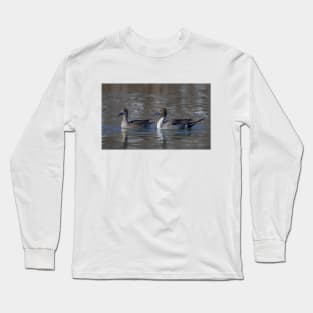 Northern Pintail ducks Long Sleeve T-Shirt